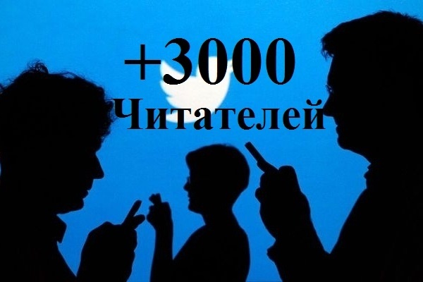 3000 подписчиков Twitter. Только реальные пользователи