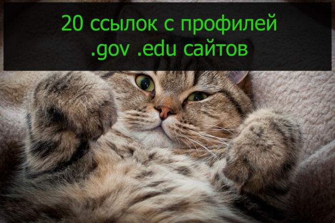 Размещу 20 .EDU и .GOV ссылок