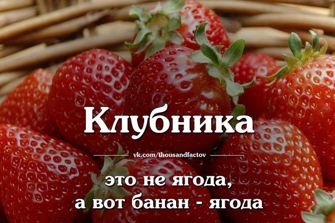 Сделают грамотный перевод с русского или с казахского на английски