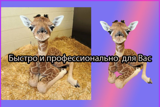 Удалю фон с картинок