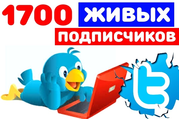 1000 Живых и Реальных подписчиков в Twitter