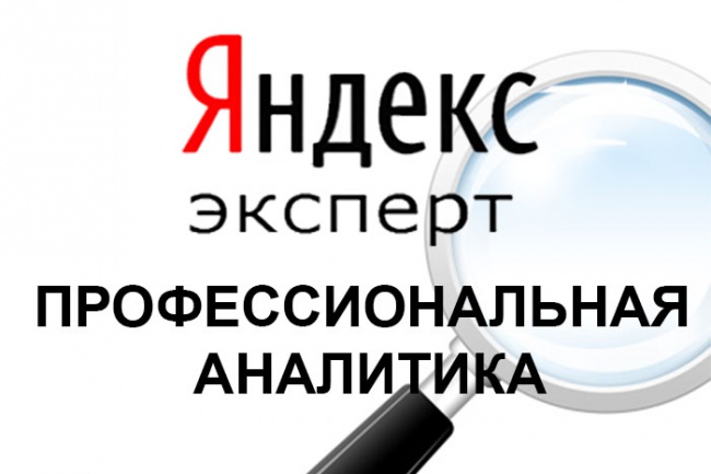 Профессиональный аудит рекламных компаний в Я.Директе или G.Adwords