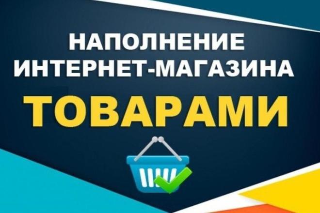 Наполню сайт товарами качественно и быстро