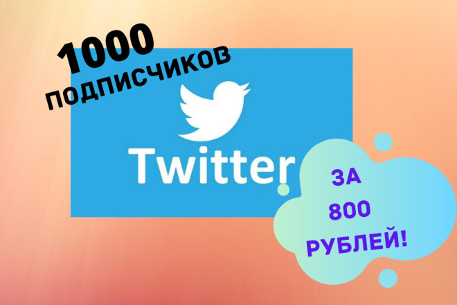 1000 реальных подписчиков в Twitter