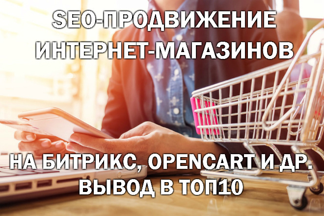 SEO-продвижение интернет-магазина - вывод в ТОП10 Яндекс и Google