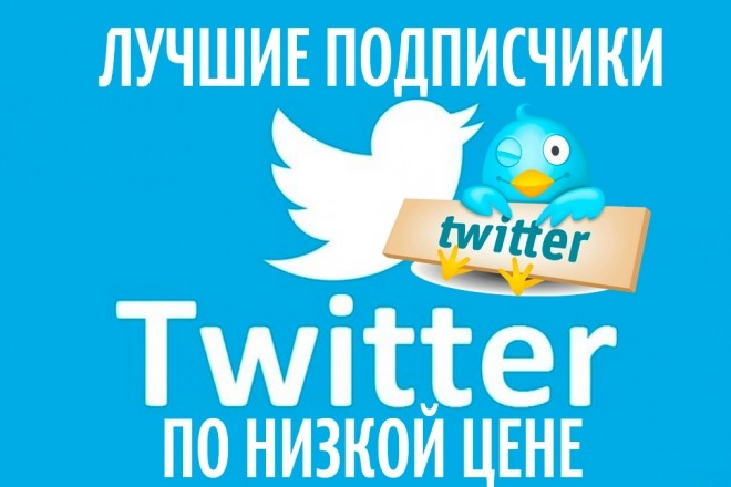 +1700 подписчиков на Ваш аккаунт Twitter