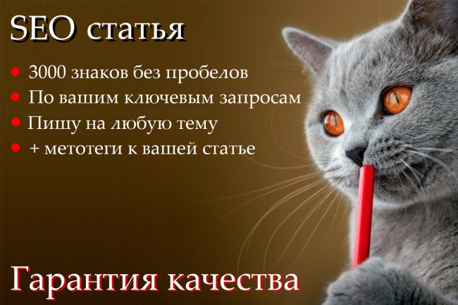 Супер предложение. SEO статья