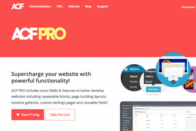 Advanced Custom Fields PRO ACF PRO Расширенные пользовательские поля