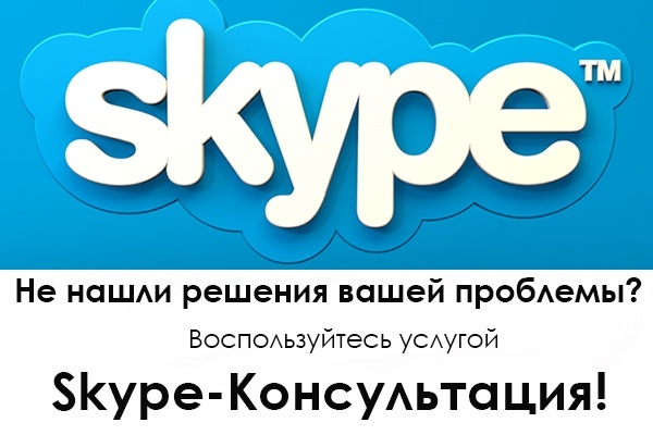 Сео консультация по Skype