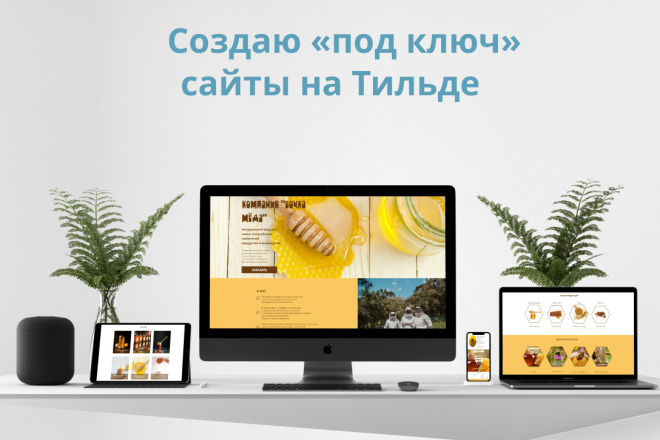 Создам и настрою одностраничный сайт на Тильде