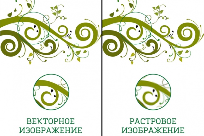 Переведу из растрового рисунка в векторный
