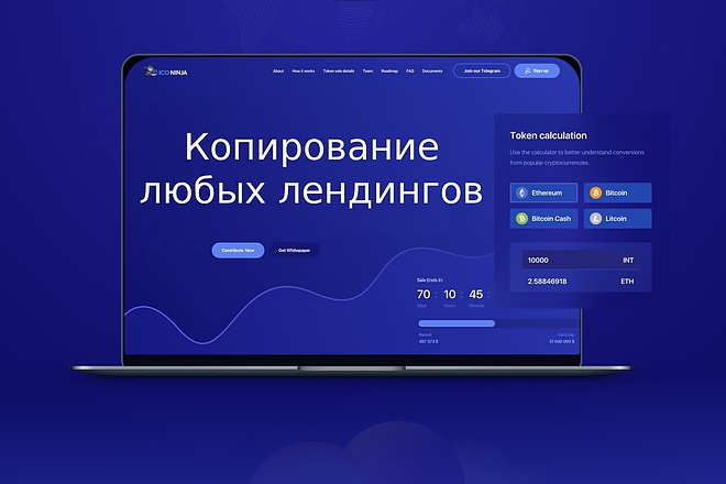 Скопирую Landing page, одностраничный сайт, посадочную страницу