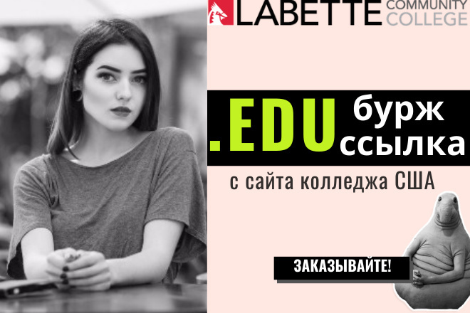 Бурж EDU ссылка. Домену 19 лет. Трастовая ссылка с сайта колледжа США