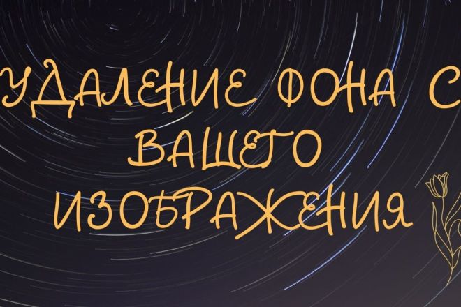 Я удалю фон с ваших изображений