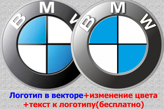 Ваш логотип в векторе. Бонус-редактирование цвета, текст к логотипу