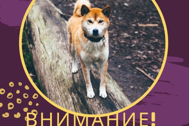 Создам флаер