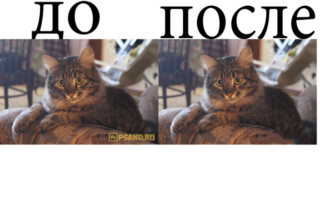 Уберу водяной знак с фото