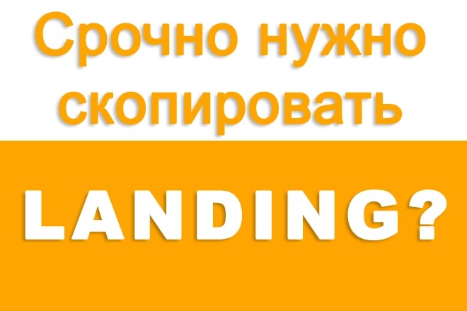 100% Копия лендинг пейдж