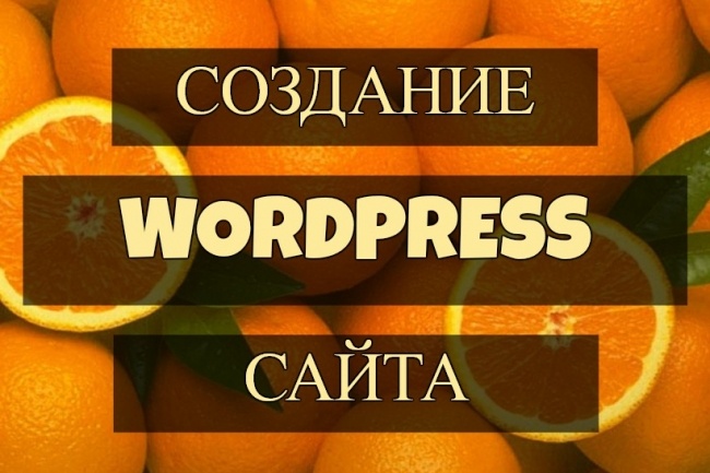 Создание Wordpress сайта