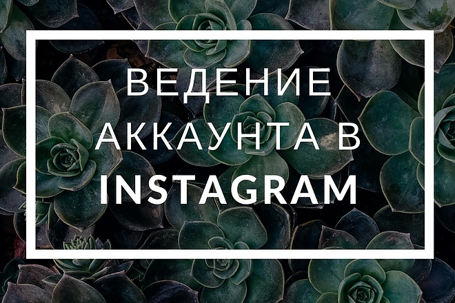 Ведение аккаунта в Instagram