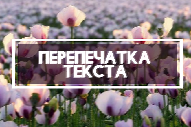 Перепечатка рукописи, печатного текста, PDF-скана в эл. формат