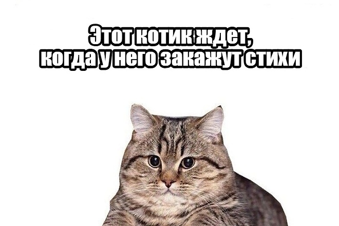 Напишу стихотворения на любую тему, поздравления родным на праздник