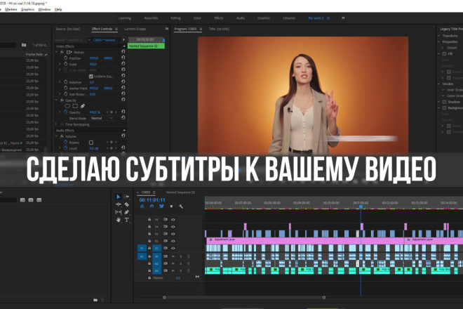 Сделаю субтитры к вашему видео