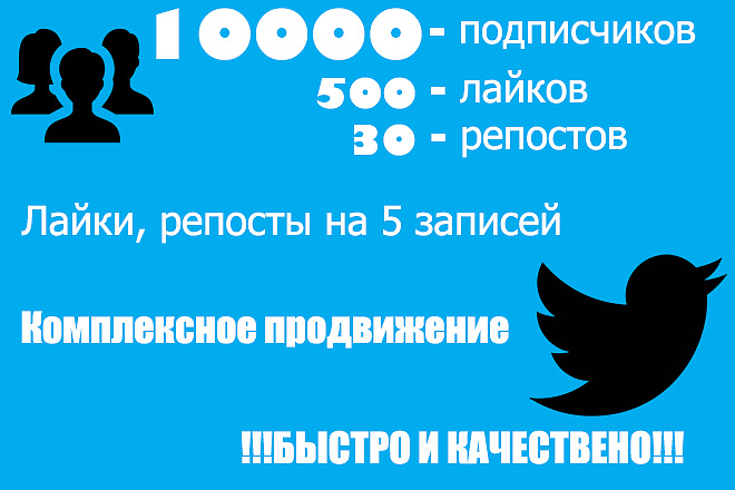 Комплексное продвижение Twitter