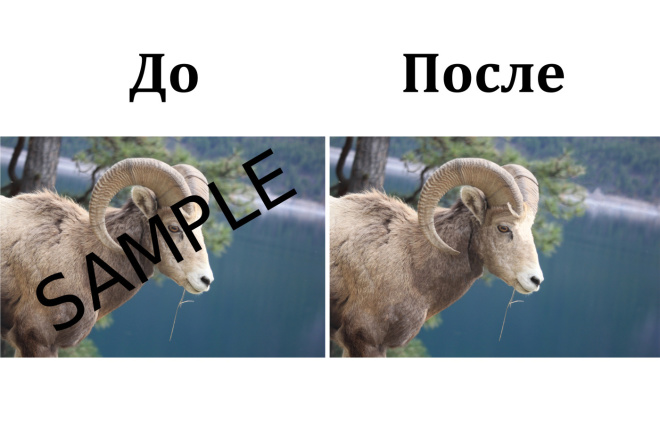 Удаление водяных знаков