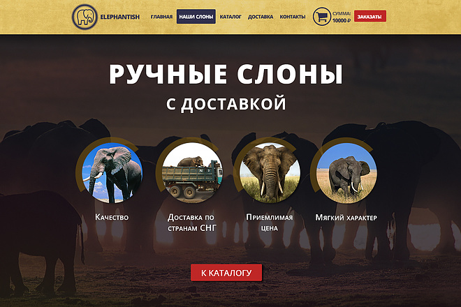 Сделаю дизайн сайта