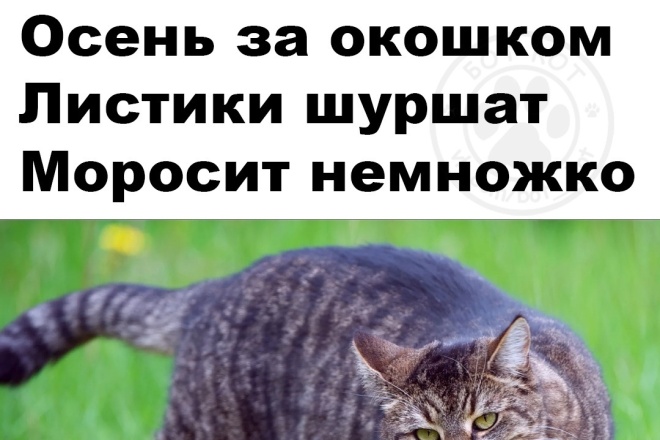 Добавлю 1500 качественных лайков в VK