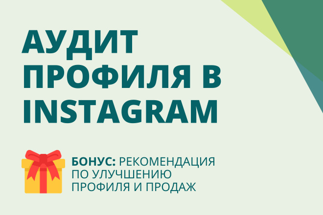 Подробный анализ профиля в instagram