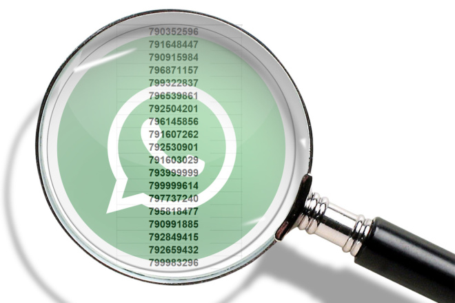 Проверка номеров на наличие Whatsapp