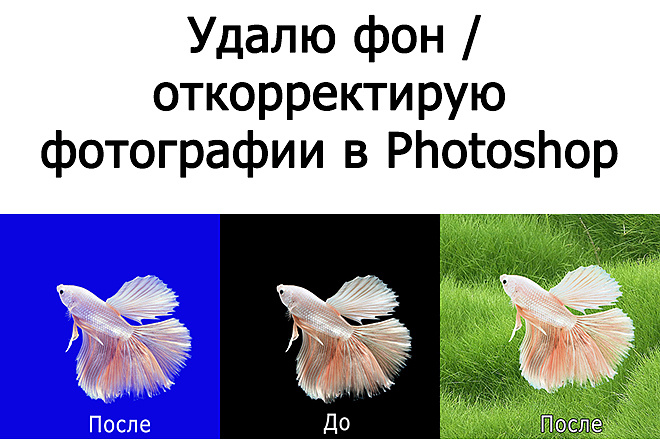 Удалю фон и откорректирую фотографии в Photoshop