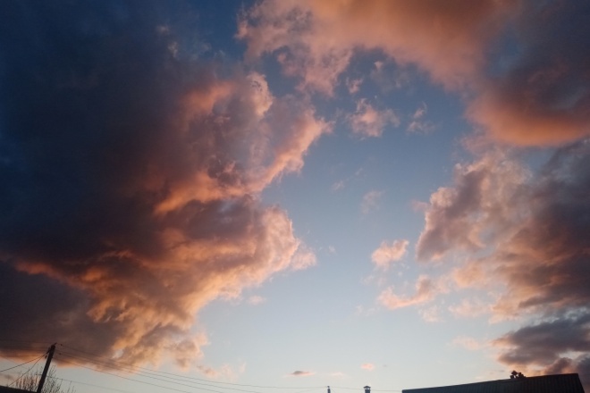 Напечатаю текст за 24 часа по вашим критериям