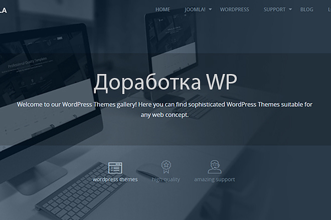 Внесу правки на сайт Wordpress