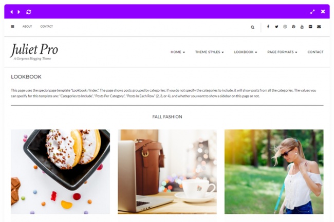 Шаблон wordpress juliet PRO