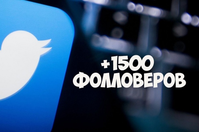 Приведу 1500 фолловеров в Twitter