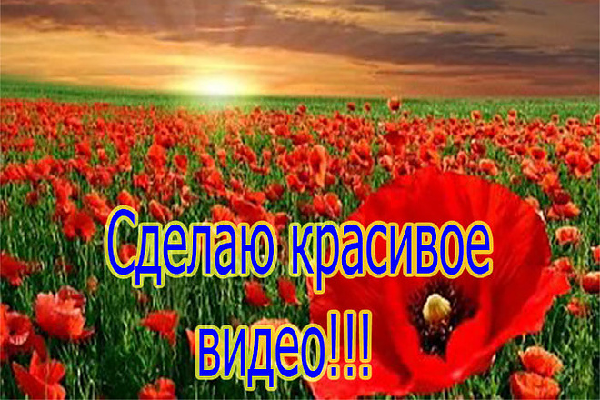 Создам видео