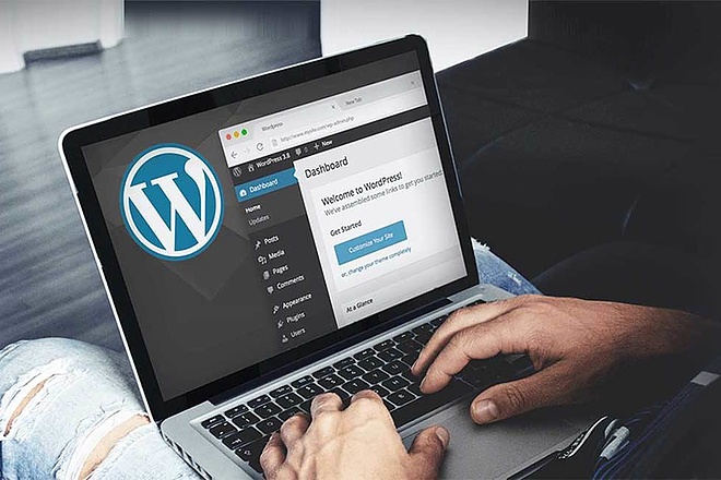 Анализ вашего сайта на Wordpress