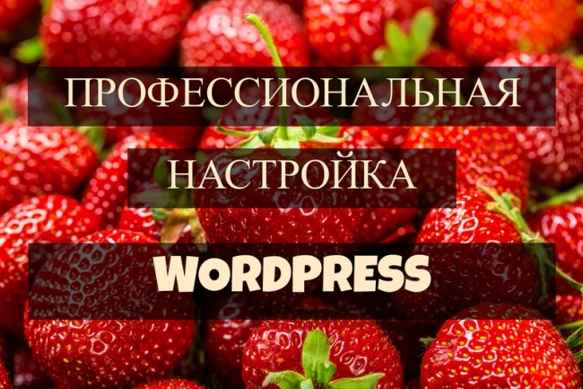 Настройка Wordpress сайта