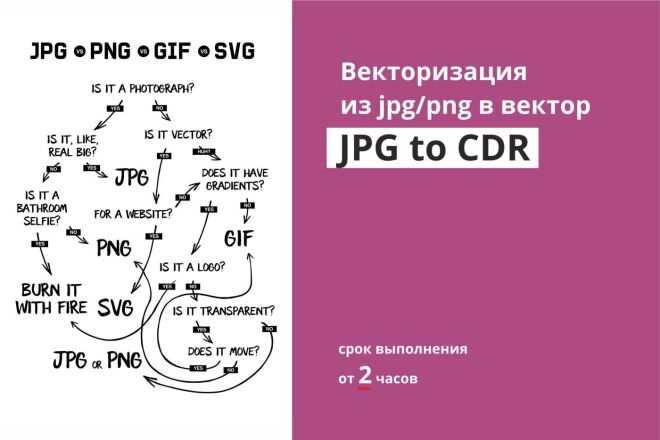 Векторизация и отрисовка в векторе. CorelDraw и AI