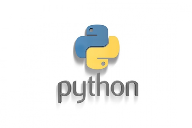 Python программист