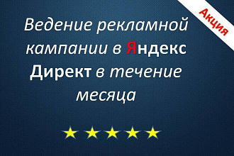 Ведение рекламной кампании в Яндекс Директв в течение месяца