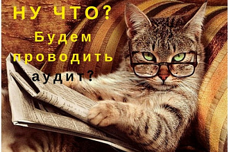 Проведу аудит вашей рекламной кампании в Яндекс Директе