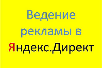 Ведение рекламной кампании в Яндекс. Директ