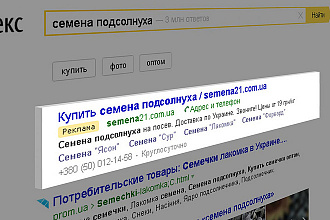 Реклама на поиске Яндекс Директ