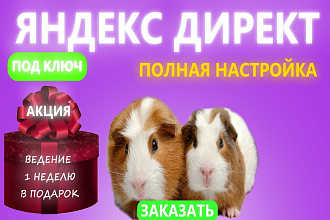 Детальная настройка яндекс директ с результатом