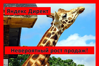 Креативная настройка РСЯ и на поиске. Онлайн 24-7 Напиши