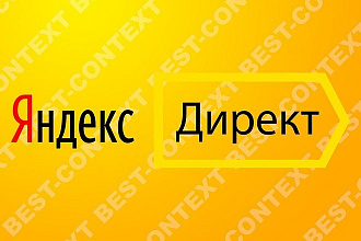 Яндекс директ, аналитика сайта, помощь с конструктором Tilda